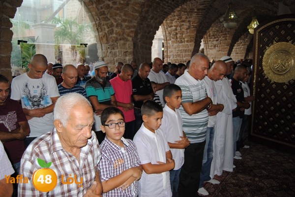 mahmoduia 3eed 808 (24).JPG